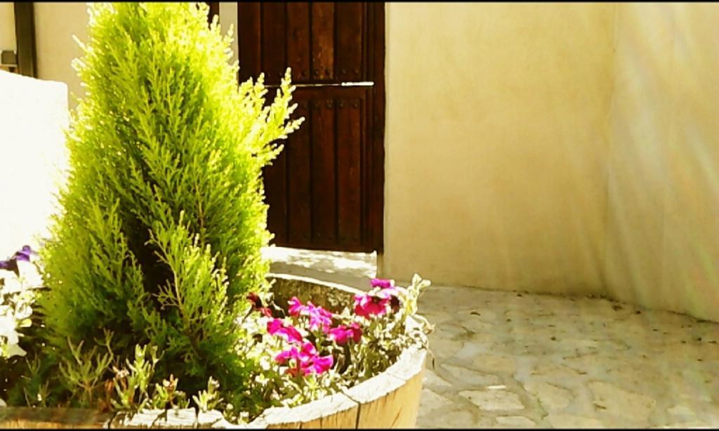 El Jardincillo Pensionat Robledo de Chavela Exteriör bild